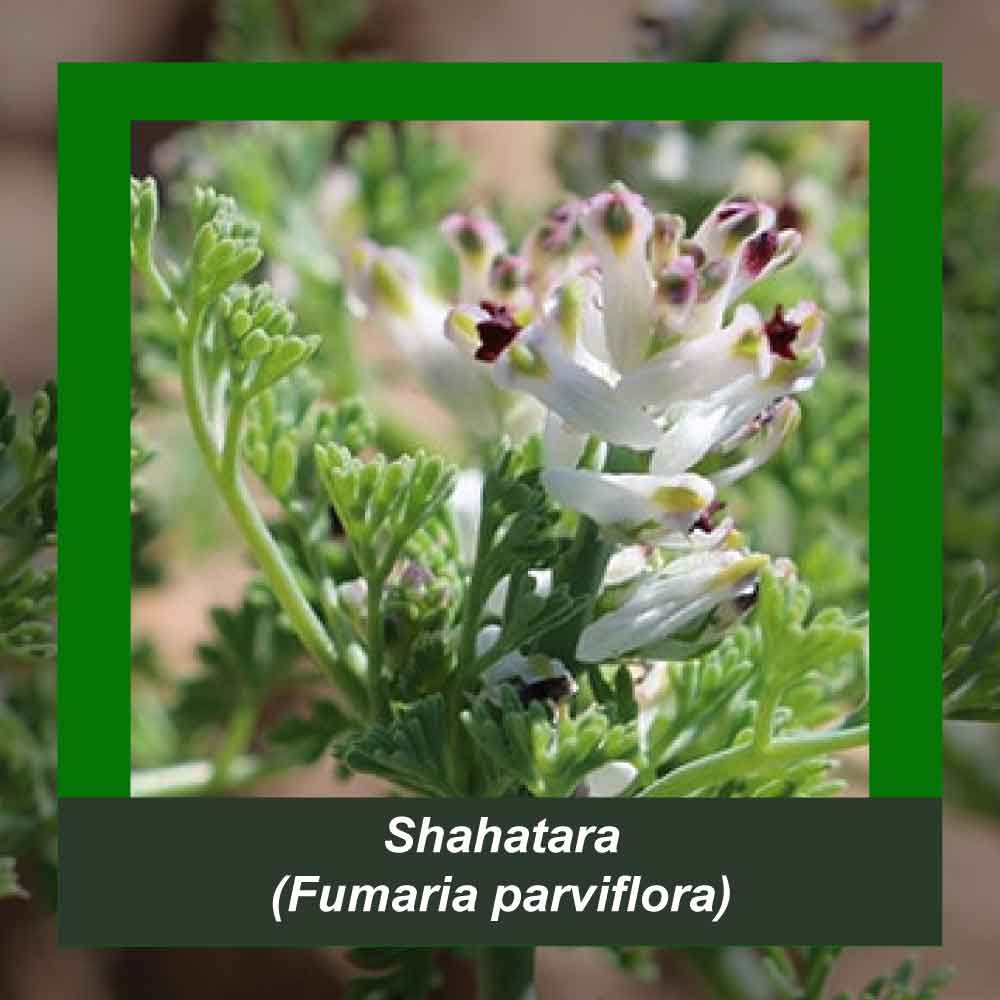 How It’s Made step 1