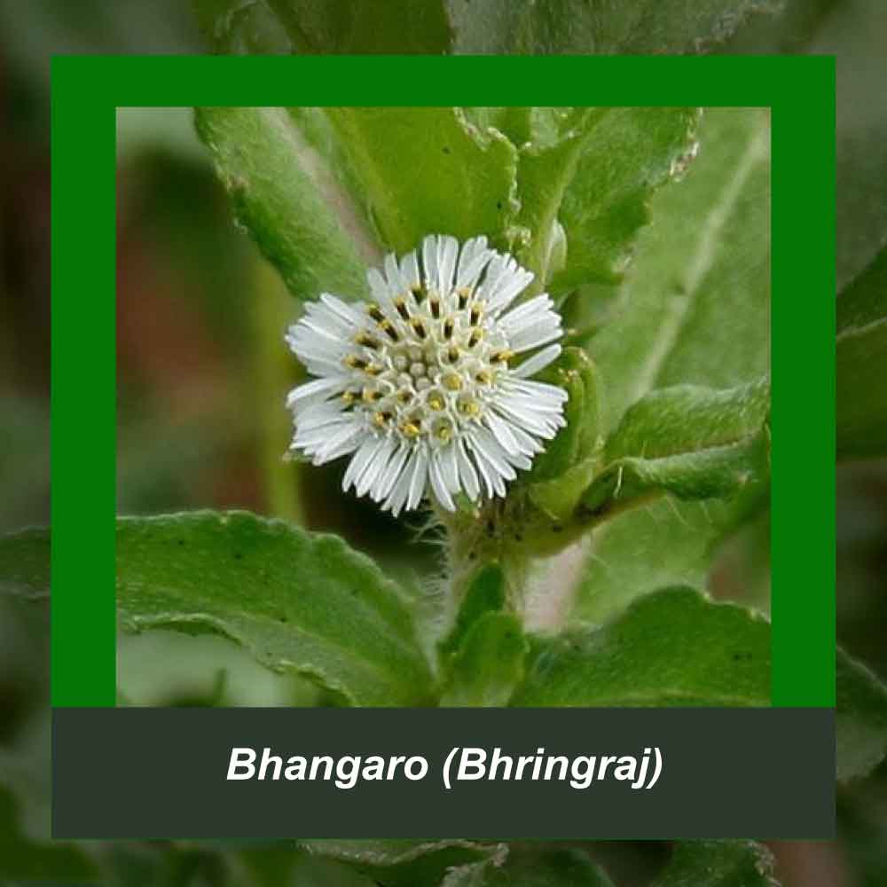 How It’s Made step 1