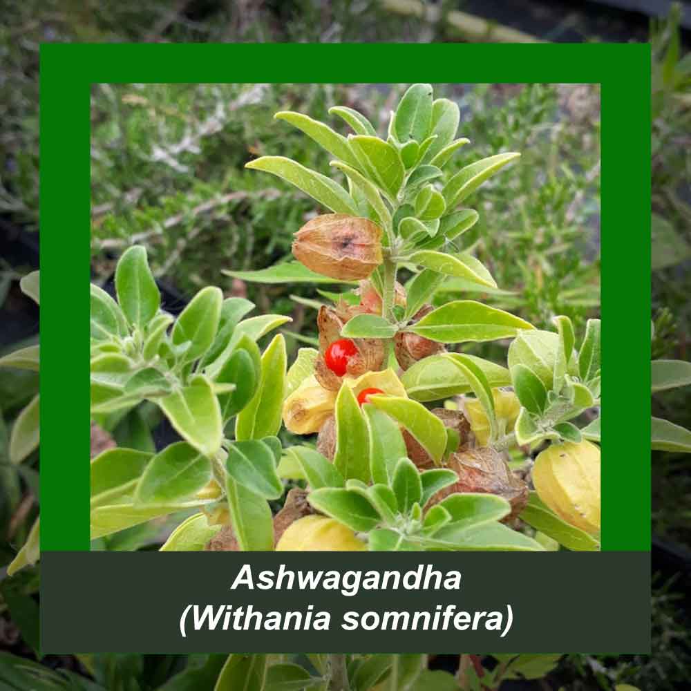 How It’s Made step 1