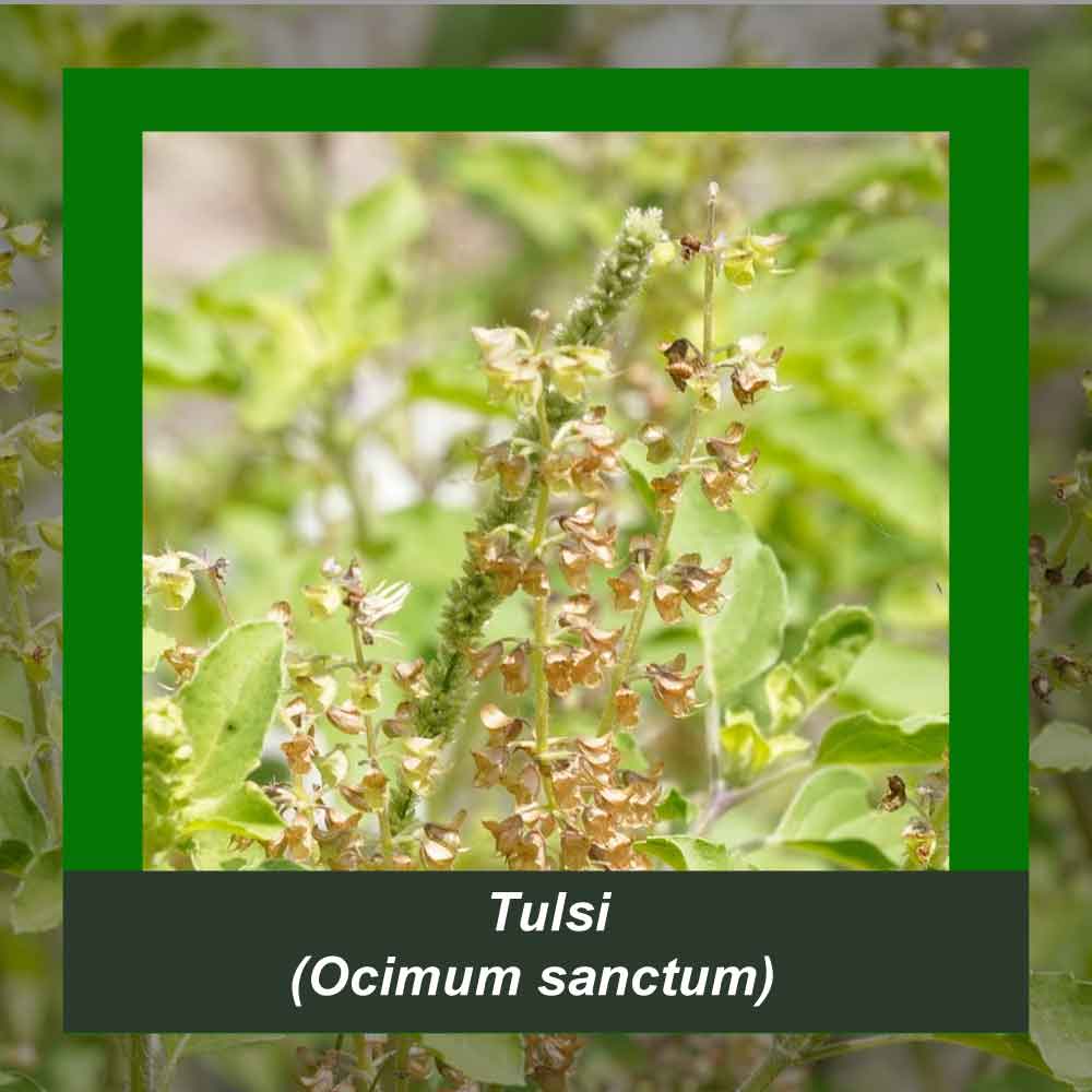 How It’s Made step 1