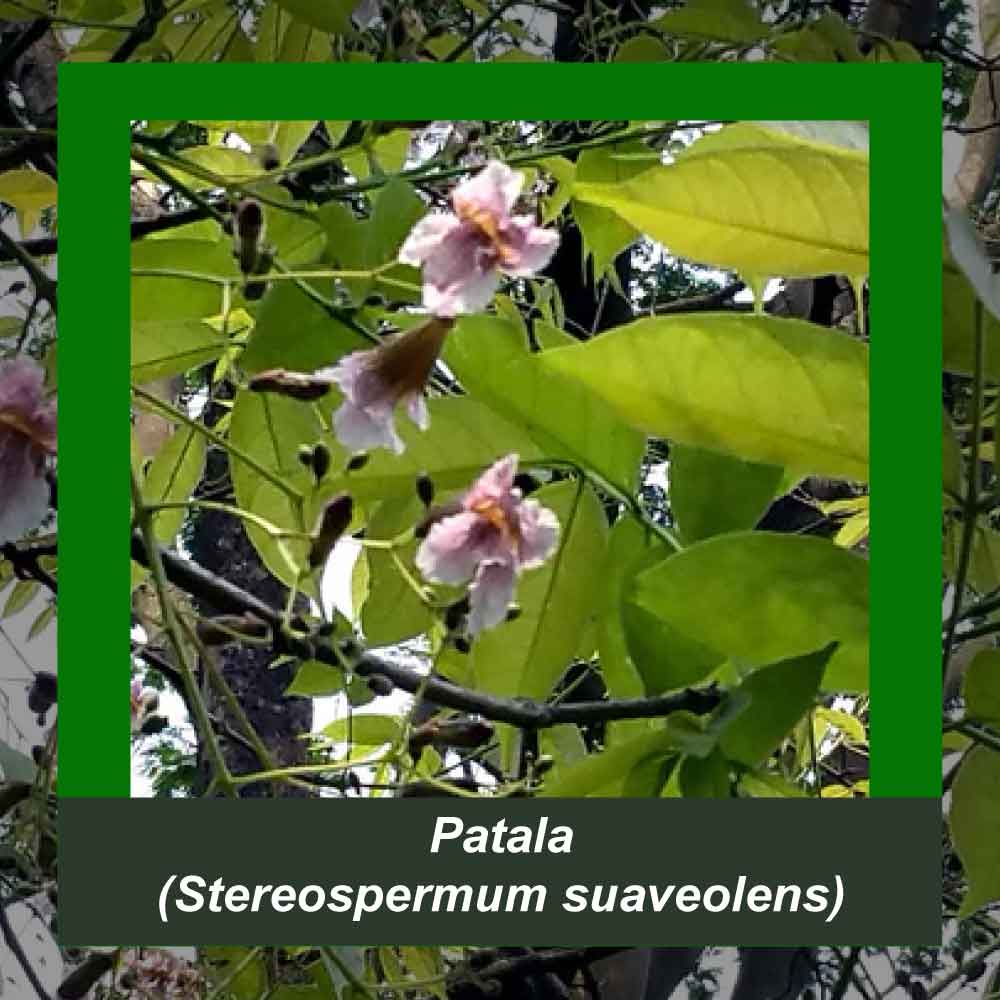 How It’s Made step 1