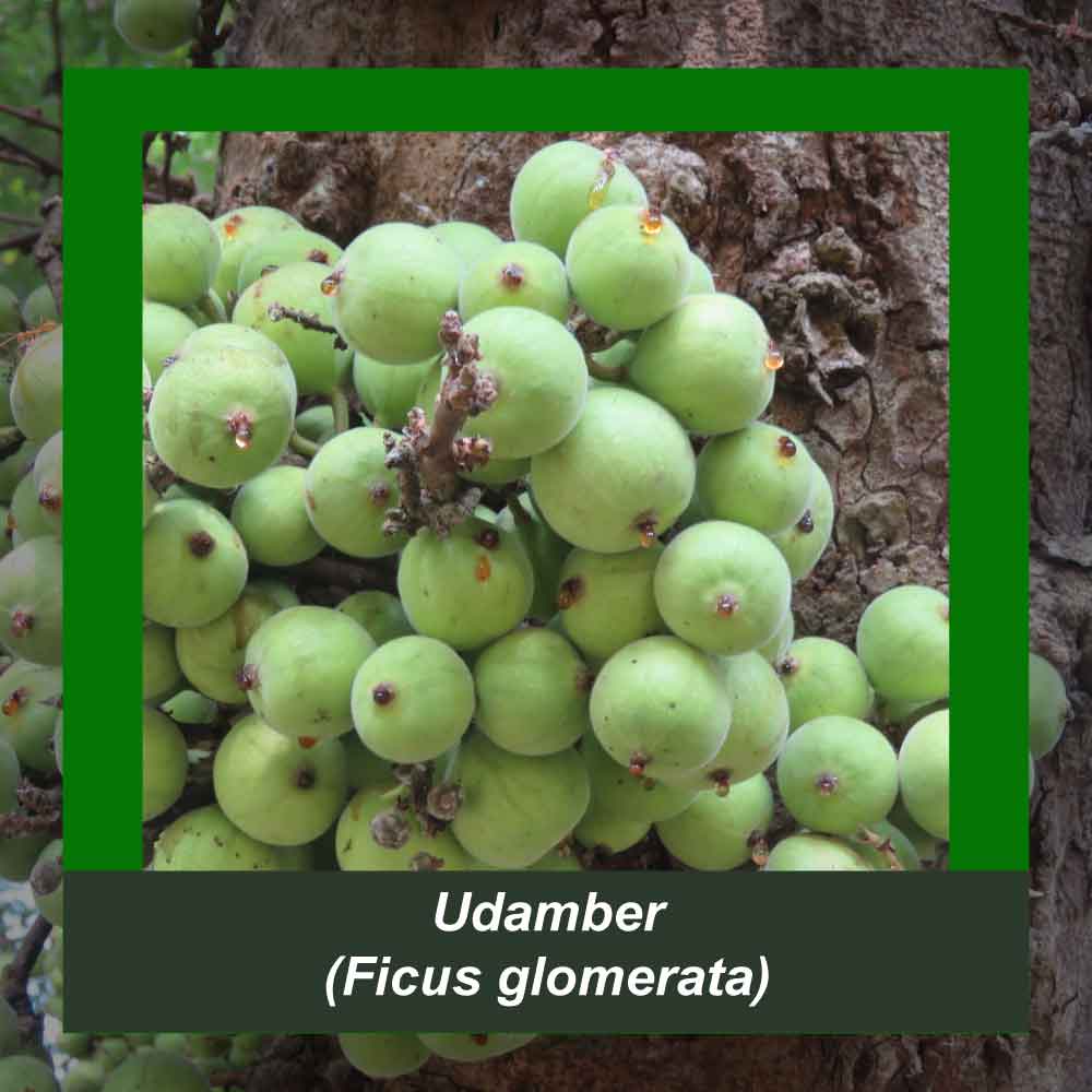 How It’s Made step 1