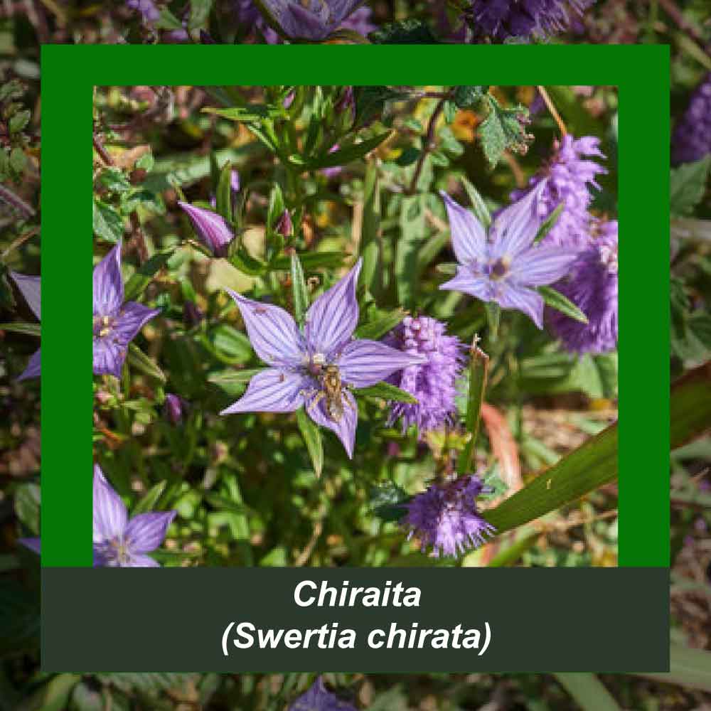 How It’s Made step 2