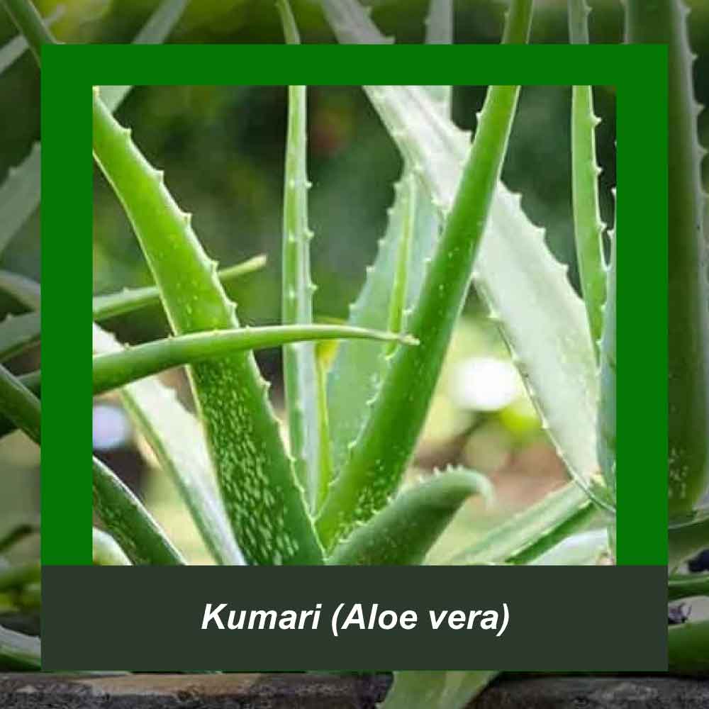 How It’s Made step 2