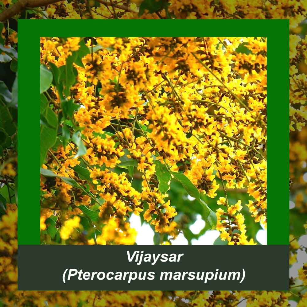 How It’s Made step 2