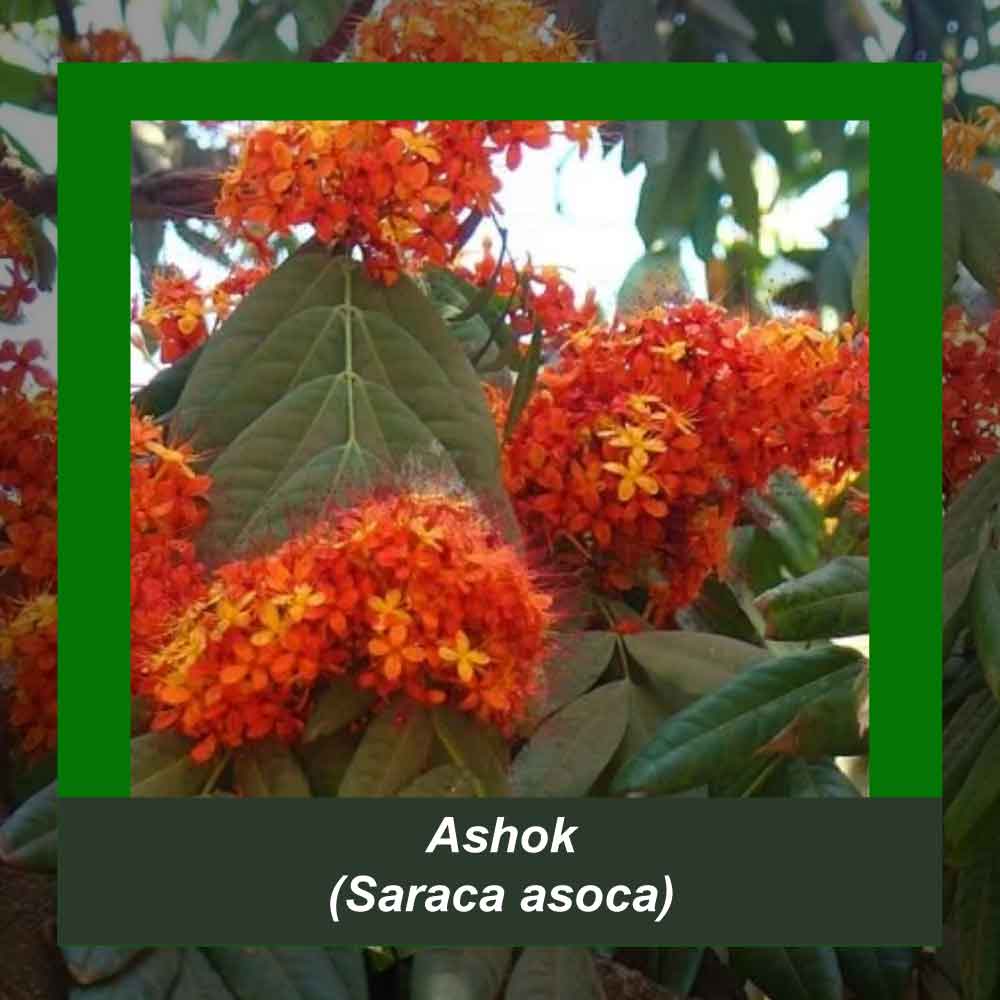 How It’s Made step 2