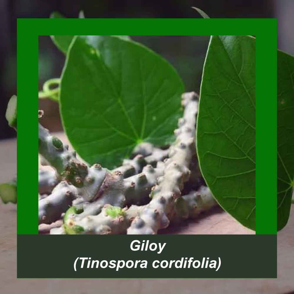 How It’s Made step 2