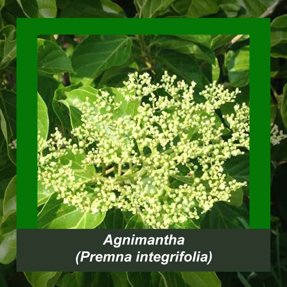 How It’s Made step 2