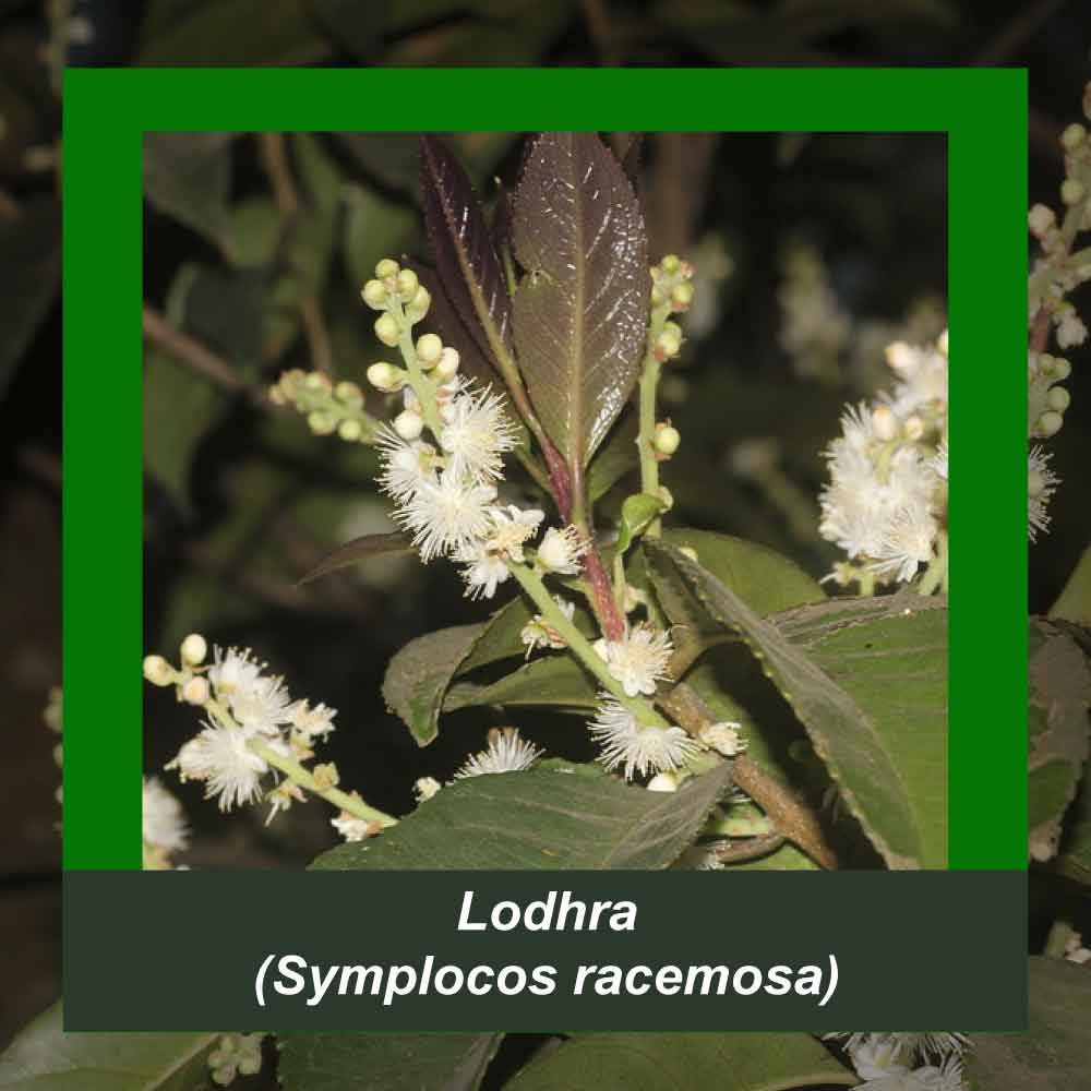 How It’s Made step 3