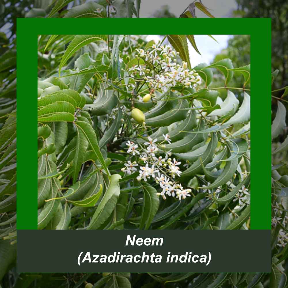 How It’s Made step 3