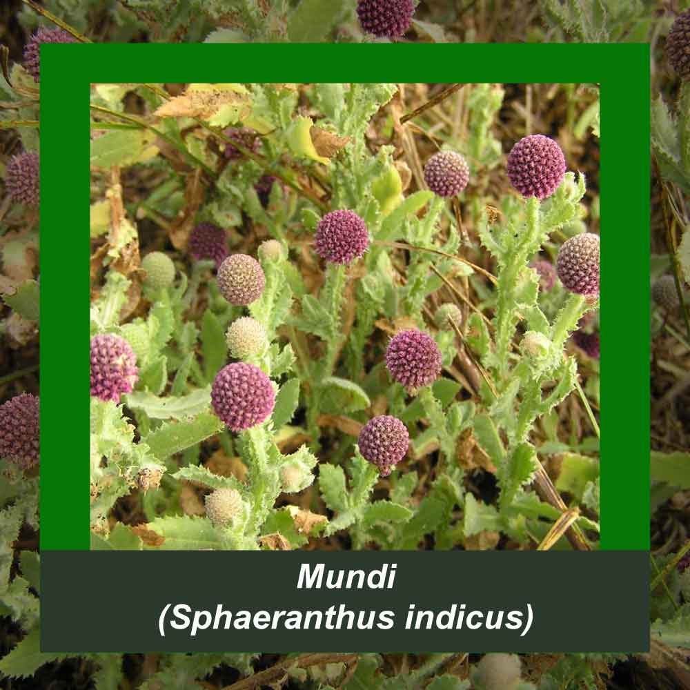 How It’s Made step 3