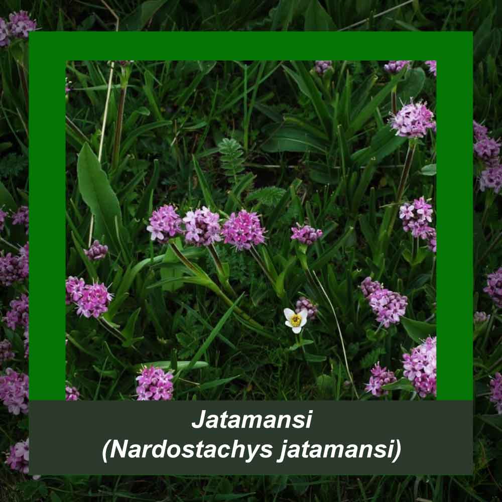 How It’s Made step 3