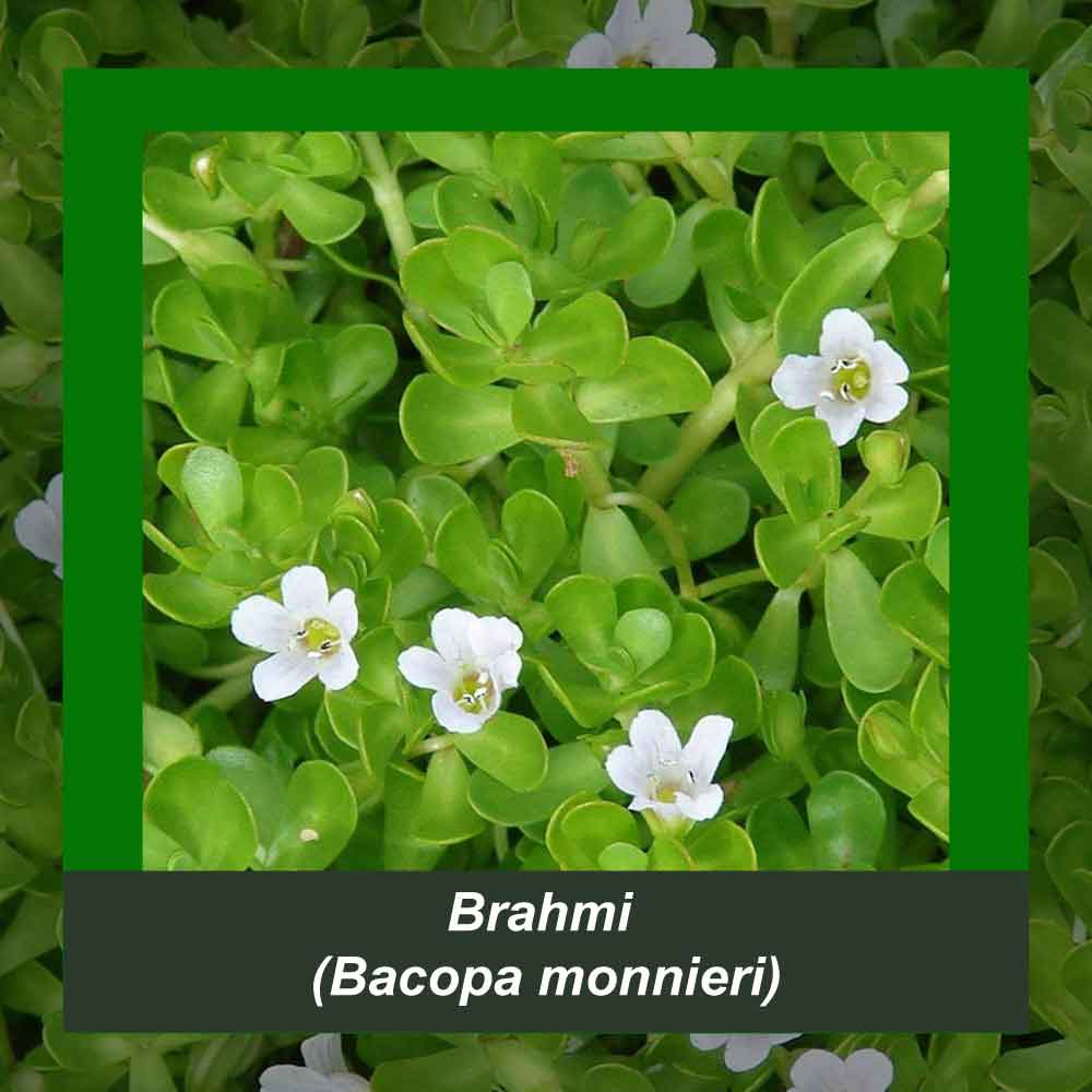 How It’s Made step 4