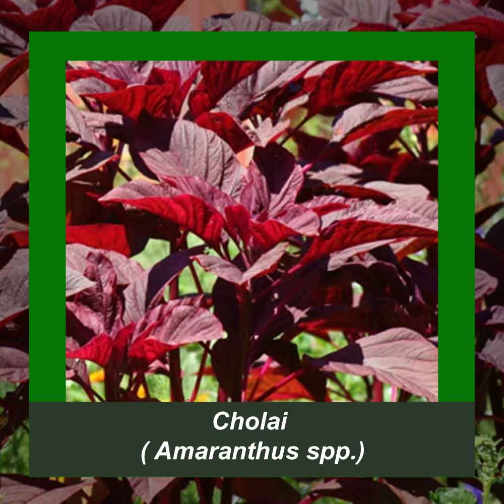 How It’s Made step 4