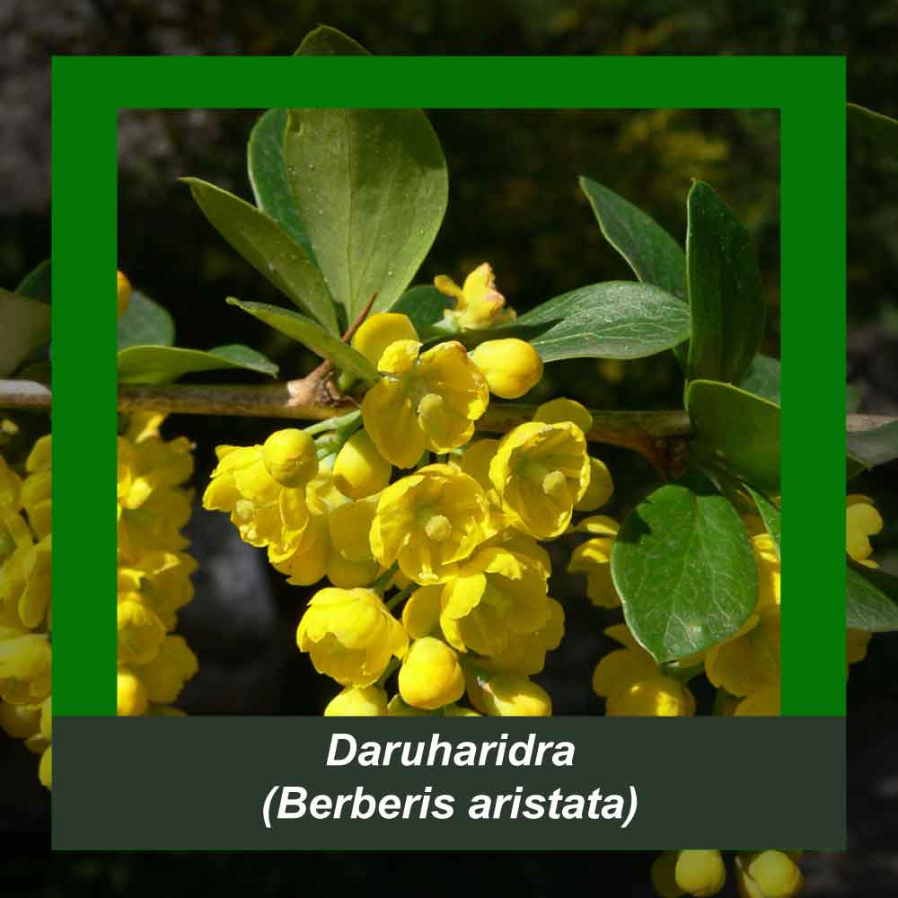 How It’s Made step 4