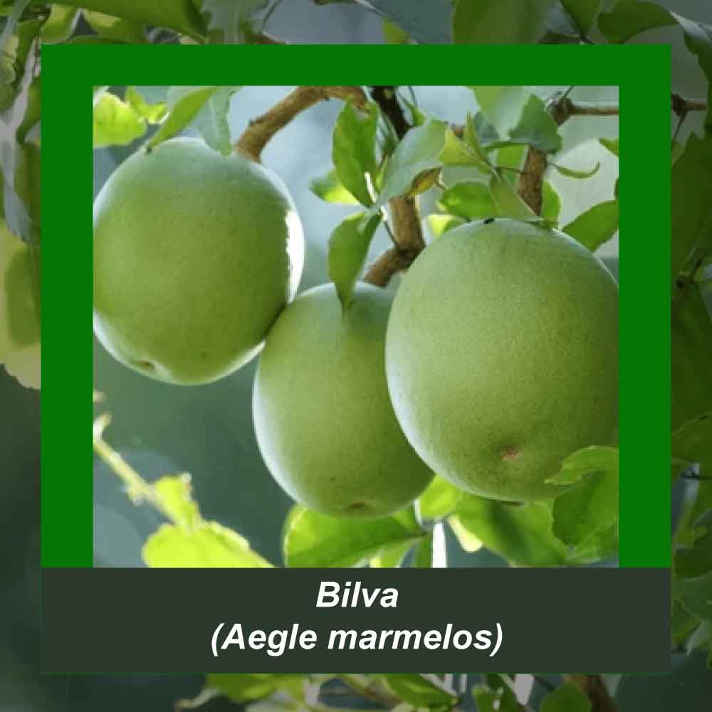 How It’s Made step 4