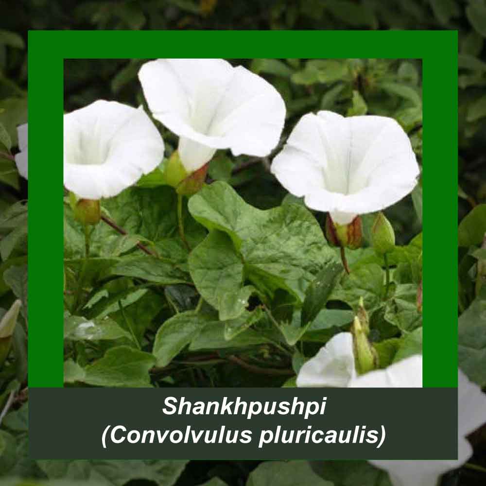 How It’s Made step 4