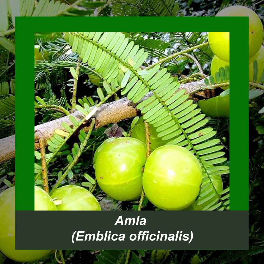 How It’s Made step 4